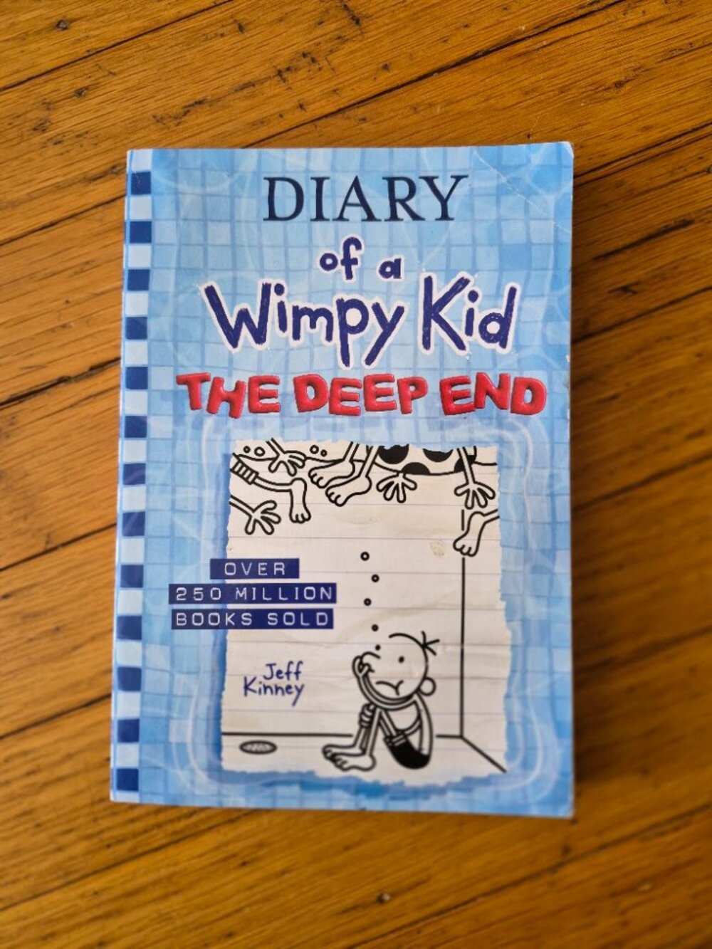 Diary of a Wimpy Kid: The Deep End Book by Jeff Kinney